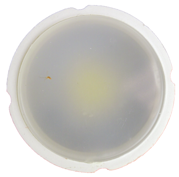 Bec LED Mr16 model R50, 6W=50W, 6500K, lumina rece - imagine 3