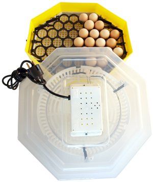 Incubator Cleo Cu Dispozitiv de intoarcere a oualelor