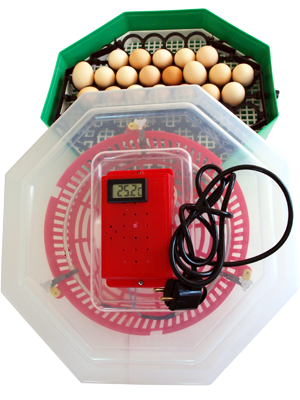 Incubator Cleo cu termometru si dispozitiv de intoarcere a oualor. Capacitate 41 de oua de gaina