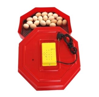 Incubator Oua