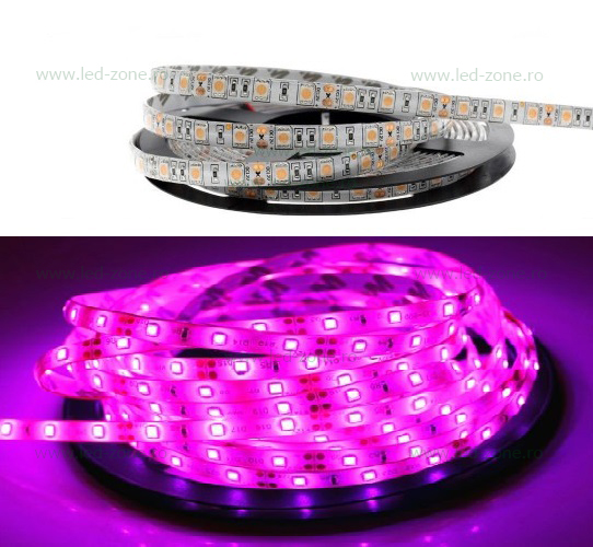 Banda LED 5050 60 SMD/ML Silicon Magenta 12V Banda LED 5050 60 SMD/ML Silicon Magenta 12V - imagine 1